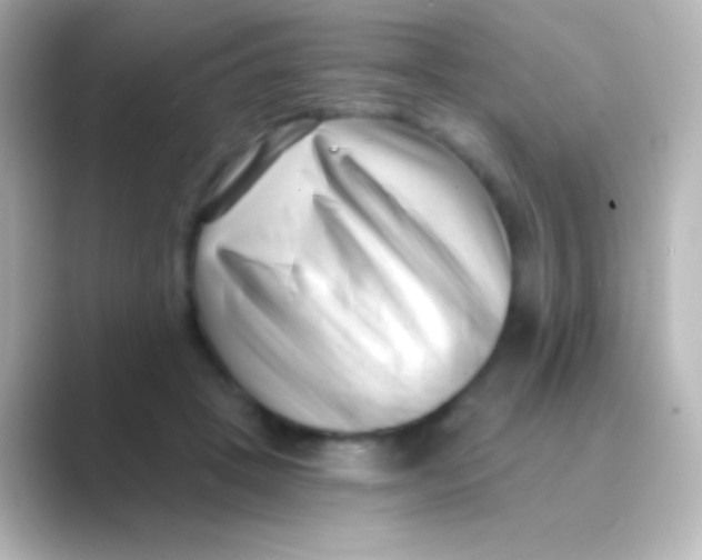 X0000088710457200706212006