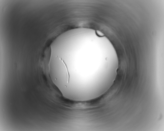 X0000088710461200706212006