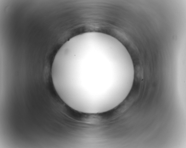 X0000088710463200706212006