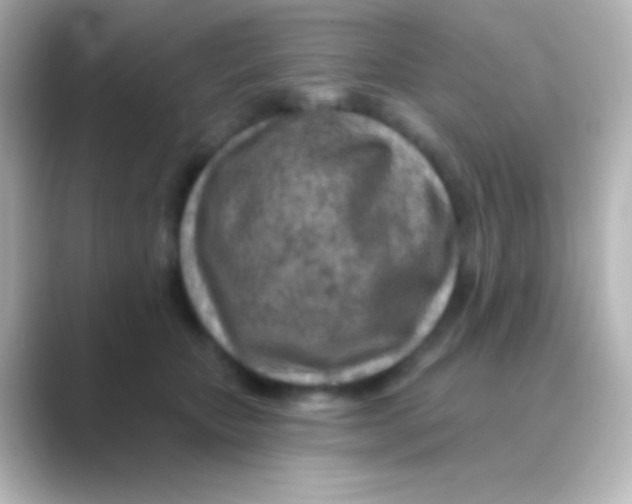 X0000088710467200706212006