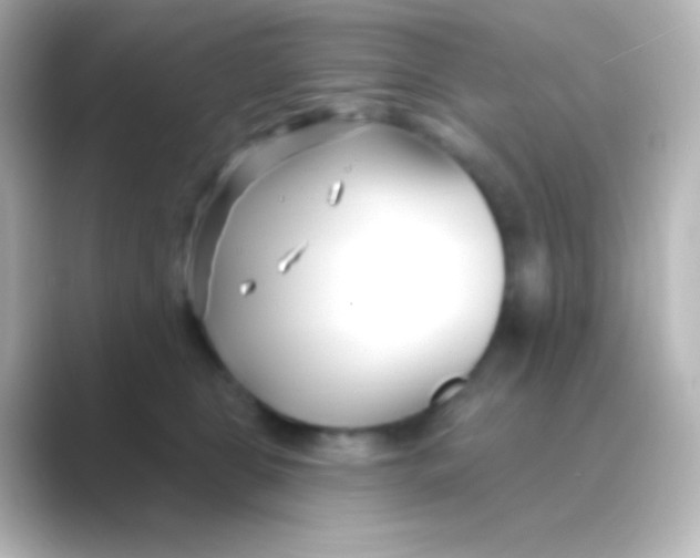 X0000088710469200706212006