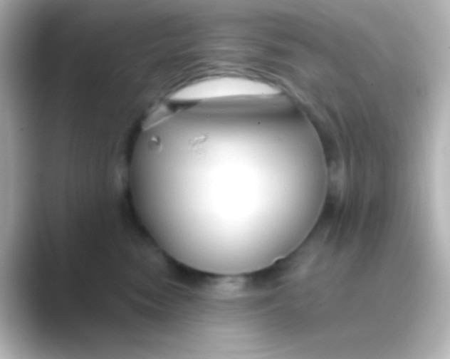 X0000088710474200706212006