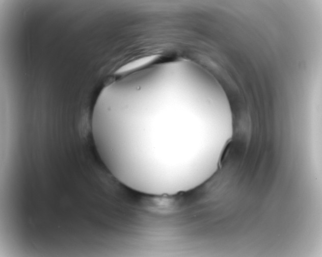 X0000088710478200706212006