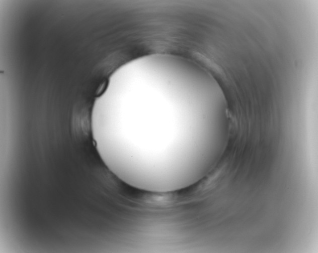 X0000088710479200706212006