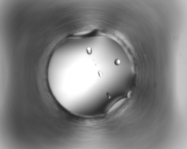 X0000088710481200706212005