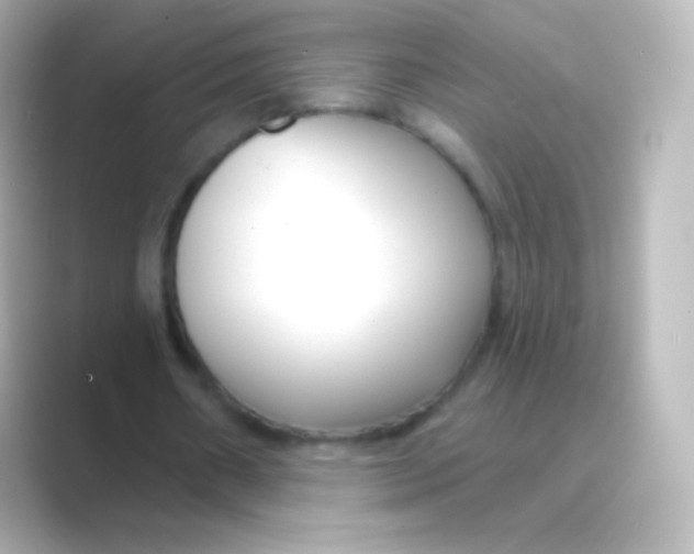 X0000088710482200706212005