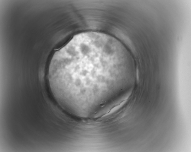 X0000088710483200706212005