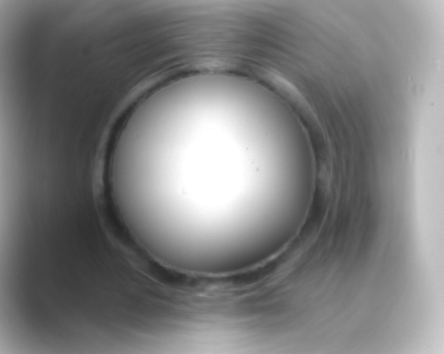 X0000088710484200706212005