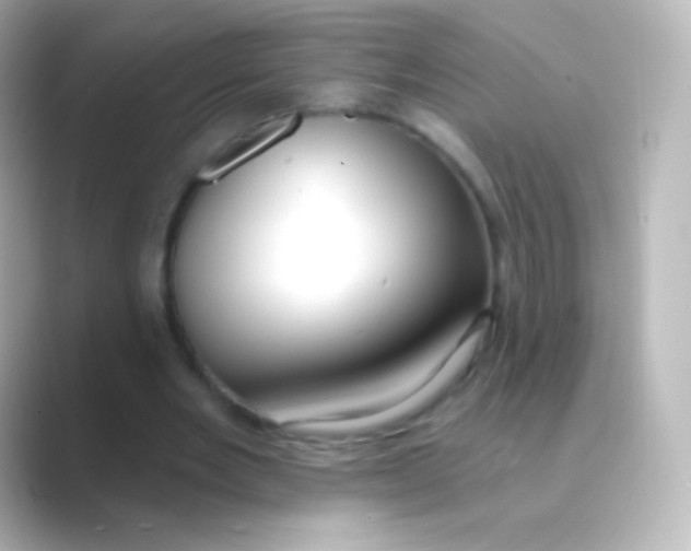 X0000088710485200706212005