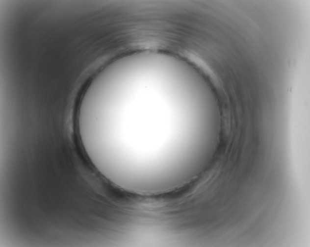 X0000088710486200706212005