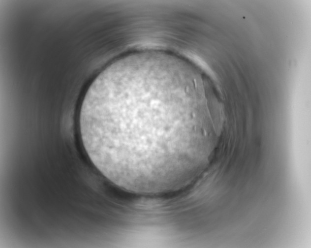 X0000088710487200706212005