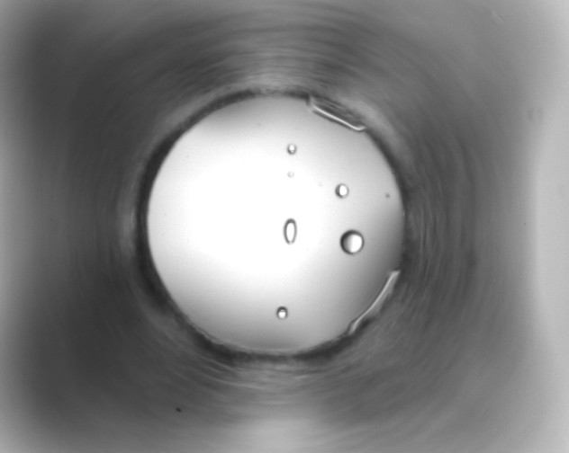 X0000088710488200706212005