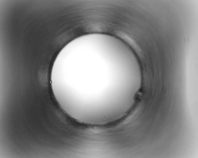 X0000088710489200706212005