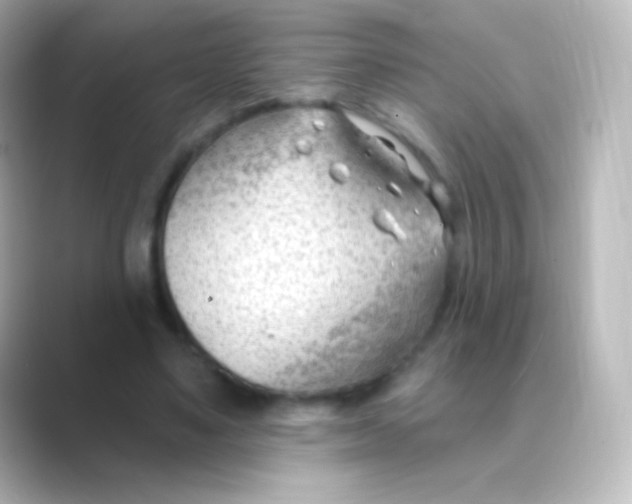 X0000088710491200706212005