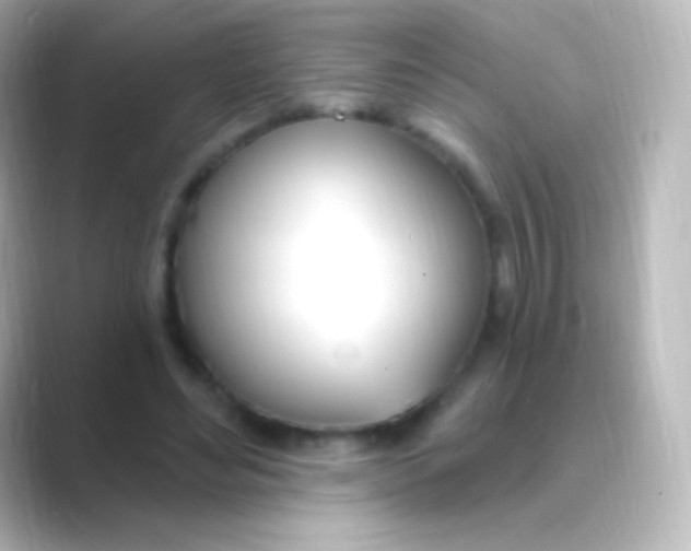 X0000088710492200706212005