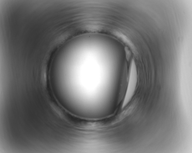 X0000088710493200706212005