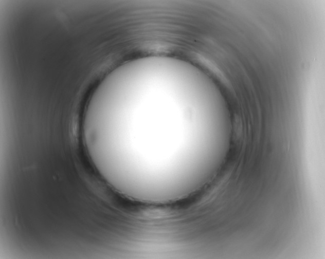 X0000088710494200706212005