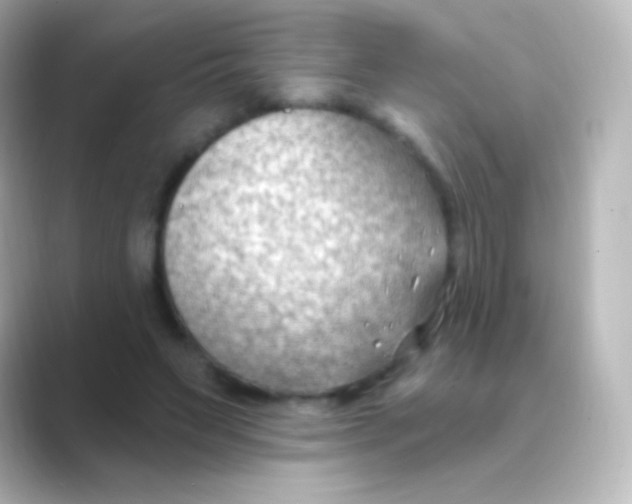 X0000088710495200706212005