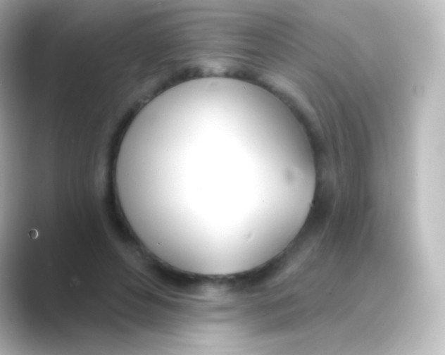 X0000088710496200706212005