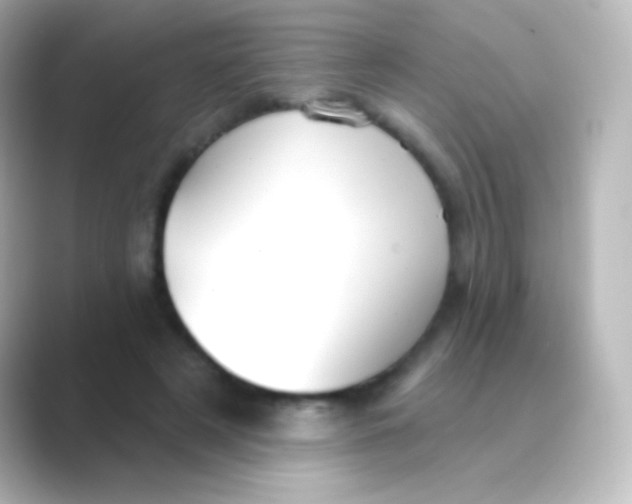 X0000088710497200706212005