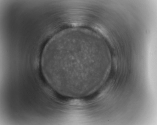 X0000088710499200706212005