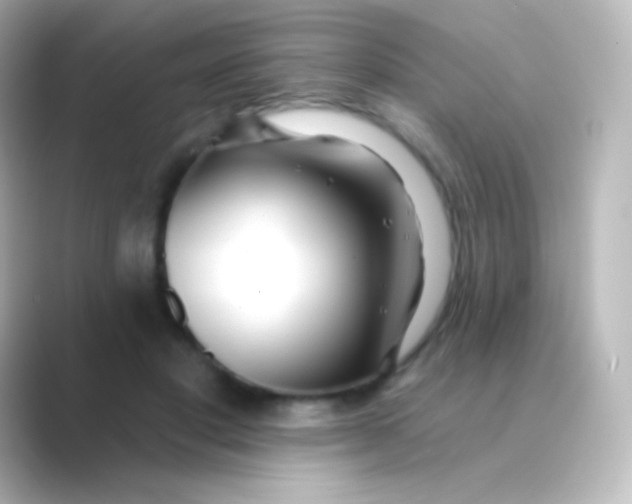 X0000088710501200706212005