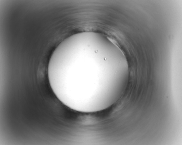 X0000088710503200706212005