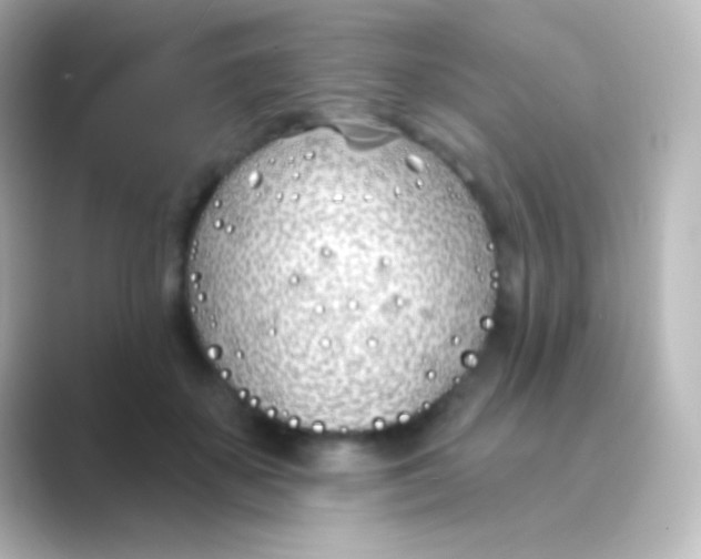 X0000088710507200706212005