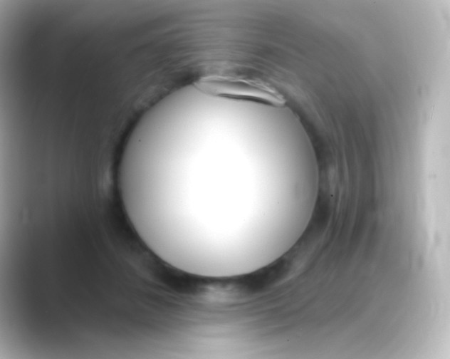 X0000088710508200706212005