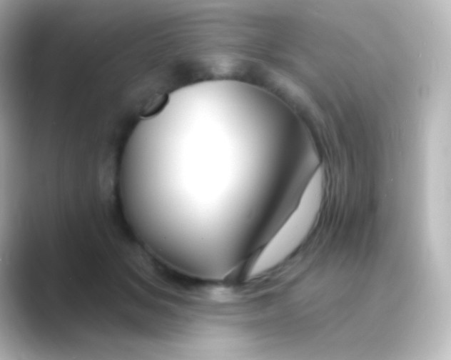 X0000088710509200706212005