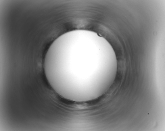 X0000088710510200706212005