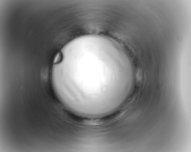 X0000088710511200706212005