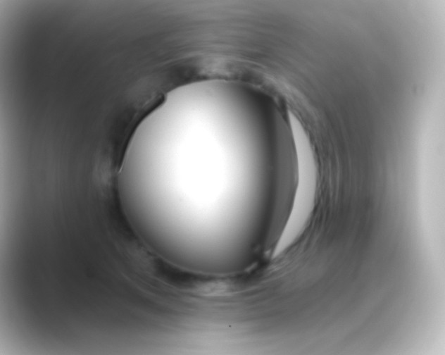 X0000088710513200706212005