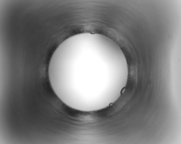 X0000088710514200706212005