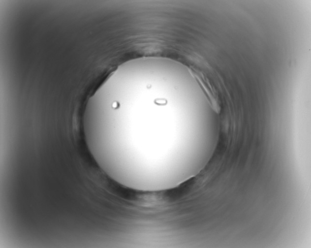 X0000088710516200706212005