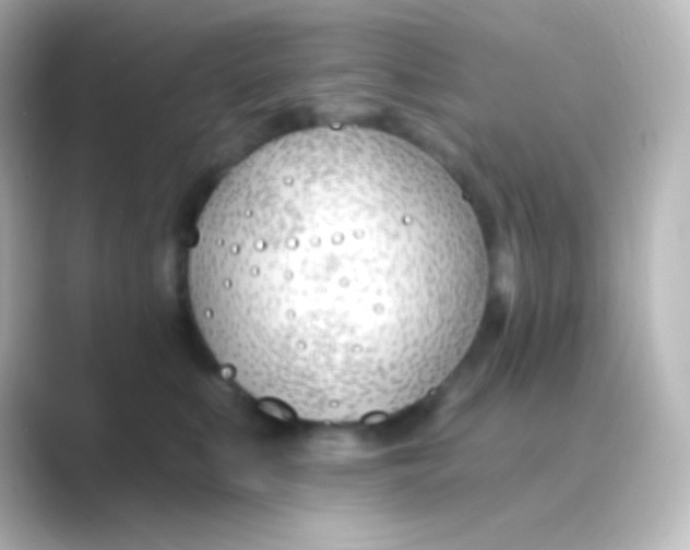 X0000088710519200706212005