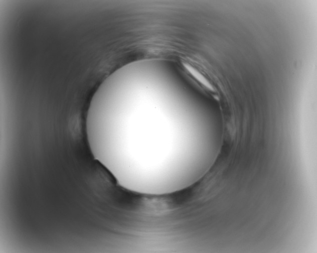 X0000088710520200706212005