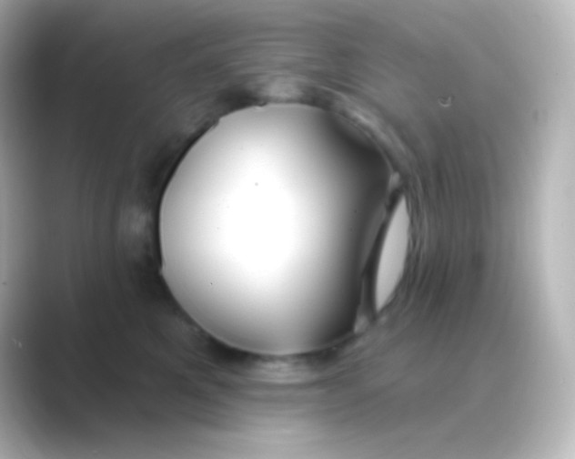 X0000088710521200706212005