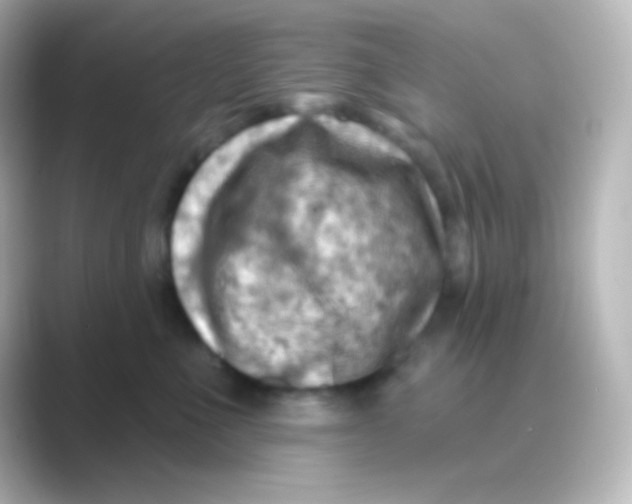 X0000088710523200706212005