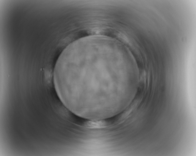 X0000088710526200706212005