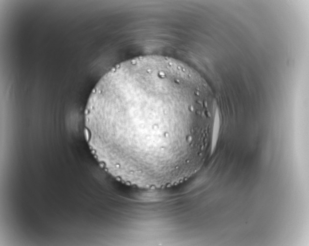 X0000088710527200706212005