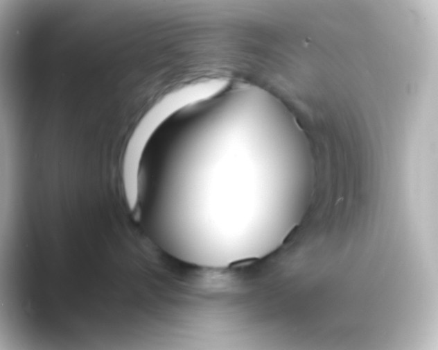 X0000088710528200706212005