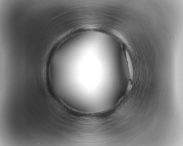 X0000088710535200706212004