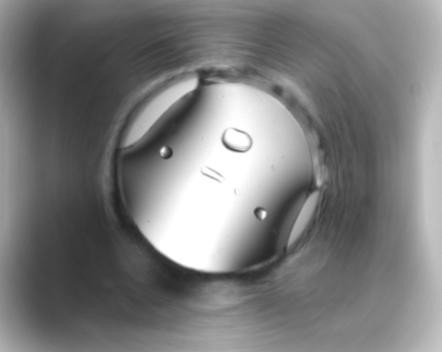 X0000088710536200706212004