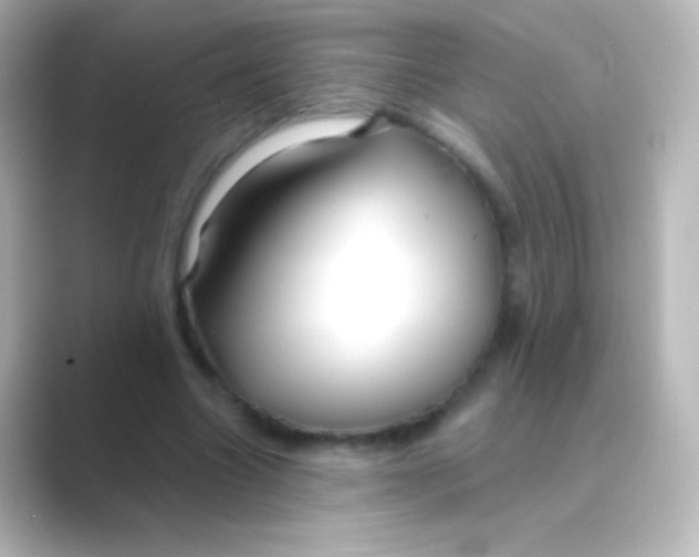 X0000088710538200706212004