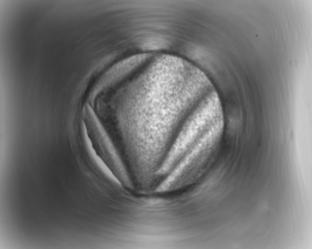 X0000088710539200706212004