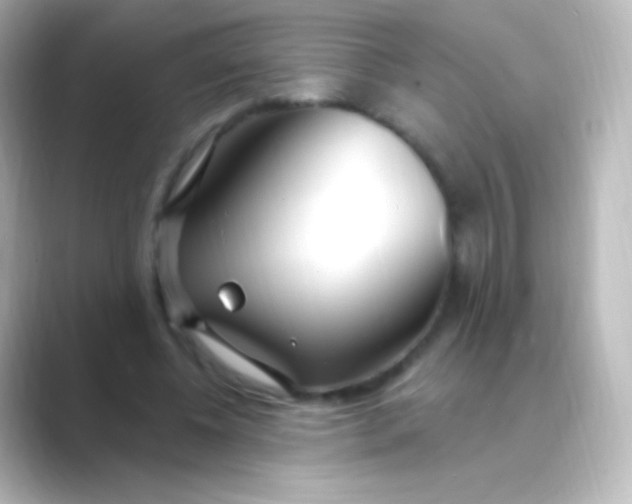 X0000088710540200706212004