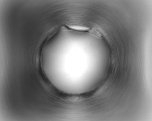 X0000088710542200706212004