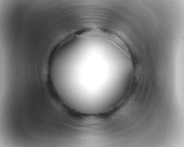 X0000088710544200706212004