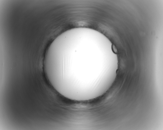 X0000088710545200706212004